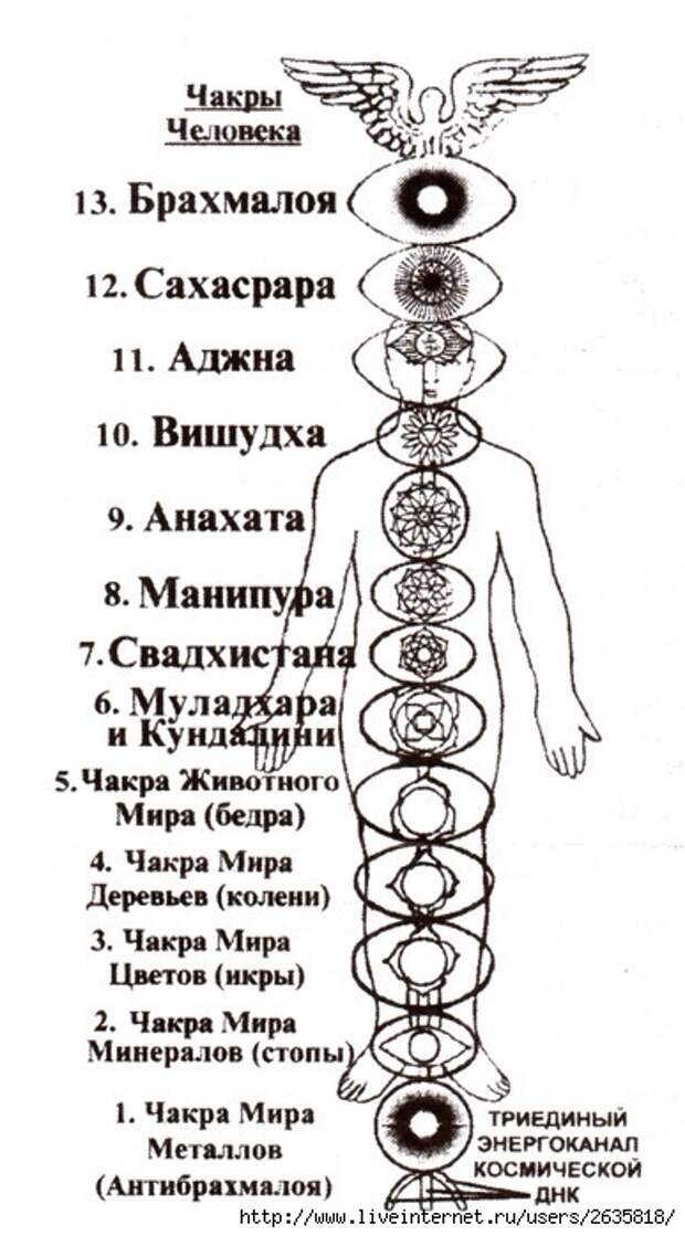 Все чакры у человека подробно на схеме