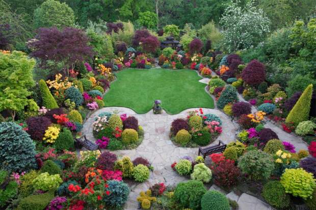 garden-azalea-flowers-in-early-summer