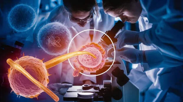 Российские учёные научились находить «пропущенные» формы молекул с помощью ИИ