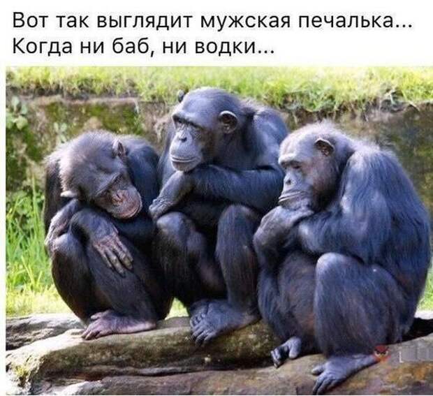 Паранормальных пикч
