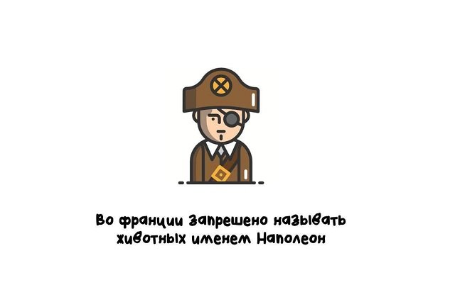 Подборка коротких интересных фактов на все случаи жизни