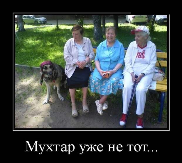 Демотиваторы (30 фото)