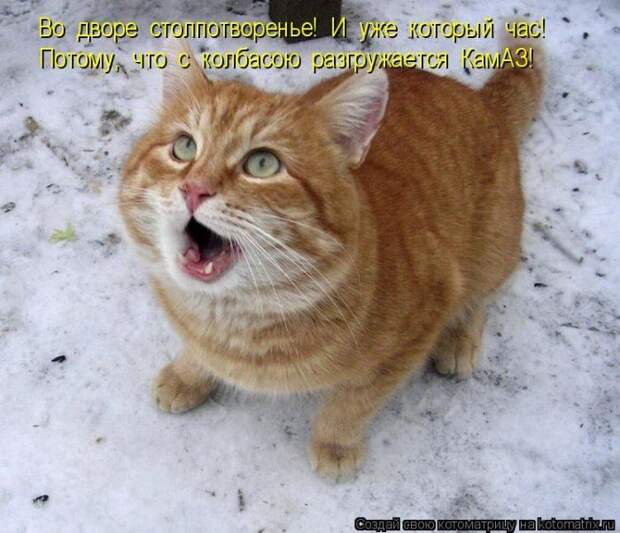 Мысли вслух :)