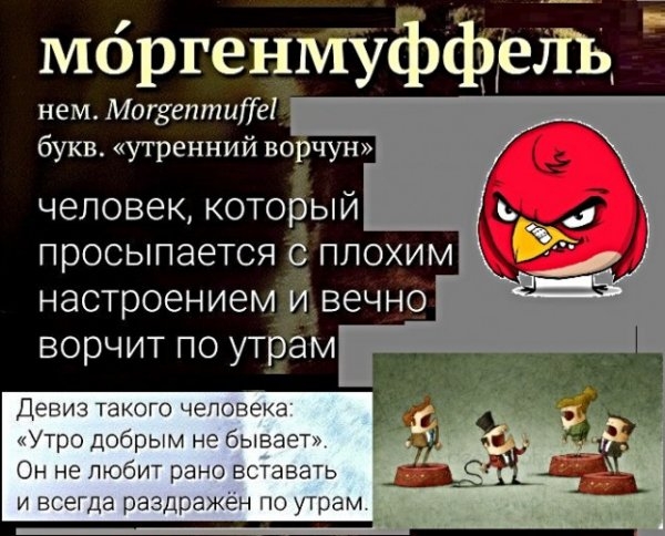 Картинки с надписями, истории и анекдоты