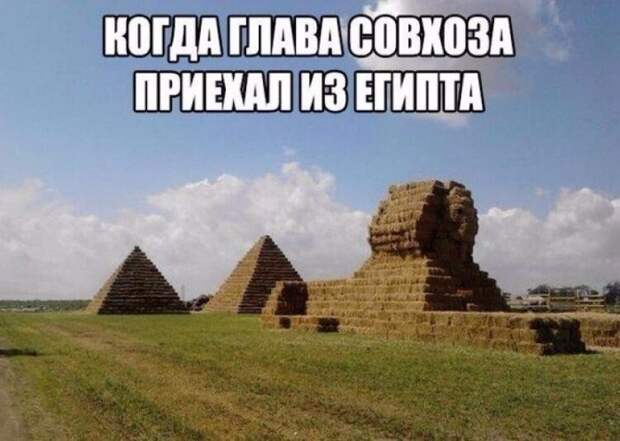 Сельский колорит: технологии будущего в российских деревнях Сельский колорит: технологии будущего в российских деревнях