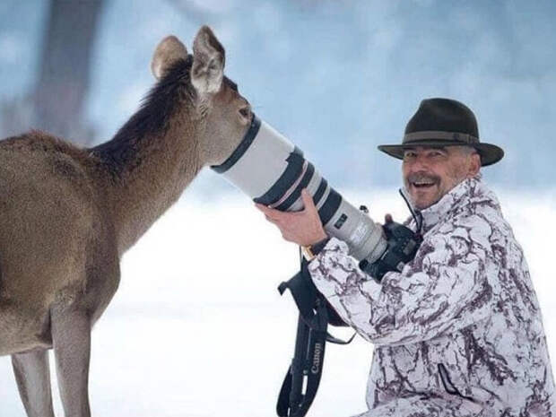 Животные, которые неравнодушны к фотосъёмке