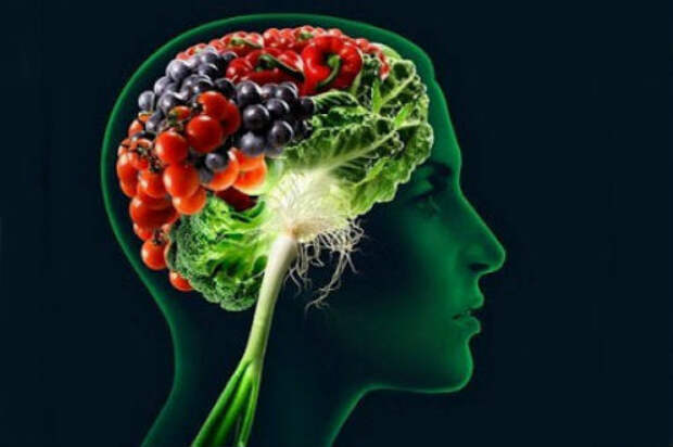 Питаться с умом: 15 продуктов, полезных для мозга