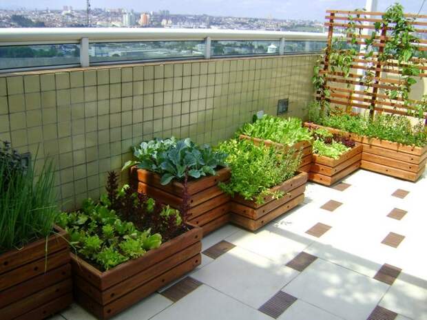 Как выращивать ягоды и овощи в контейнерах: 57 вкусных идей для дачи и города