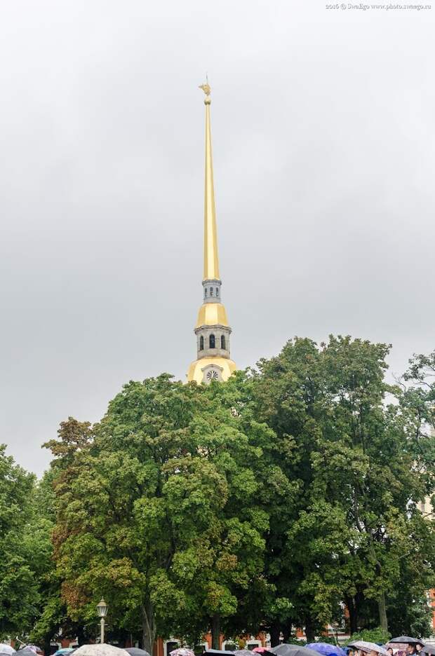 Юбилей винтовки Мосина