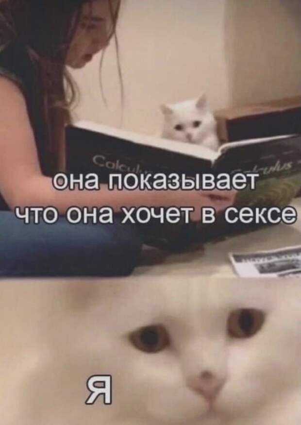 Лучшие шутки и мемы из сети