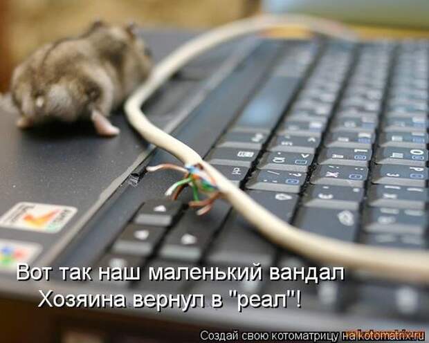 Уфф!!! Ну наконец-то! Котоматрицы великолепные, каждая с улыбкой и хорошим настроением!