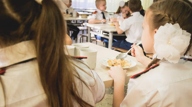 После обнаружения гнилых продуктов в школьной столовой на Ставрополье возбудили дело