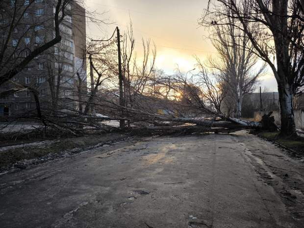 Упало Дерево на ул.Рослого