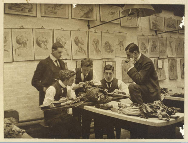 Секционный зал, ок. 1900 г. | Фото: atlasobscura.com.