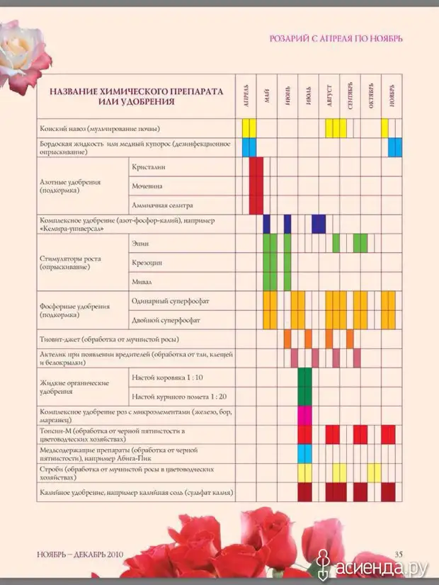 Схема удобрения пионов