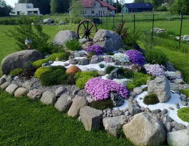 15 красивых растений, которые лучше всего подходят для альпийской горки