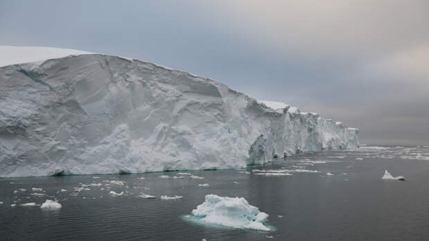 Угроза из льдов: древний айсберг может выпустить неведомые бактерии