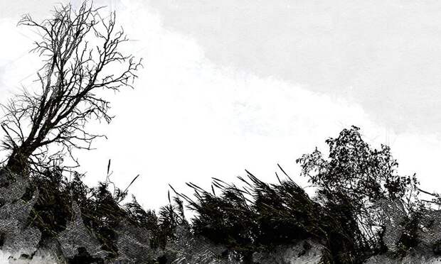 Сильный ветер снёс остановку на Московском шоссе в Орле