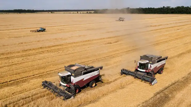 В Крыму рассказали о развитии аграрной отрасли