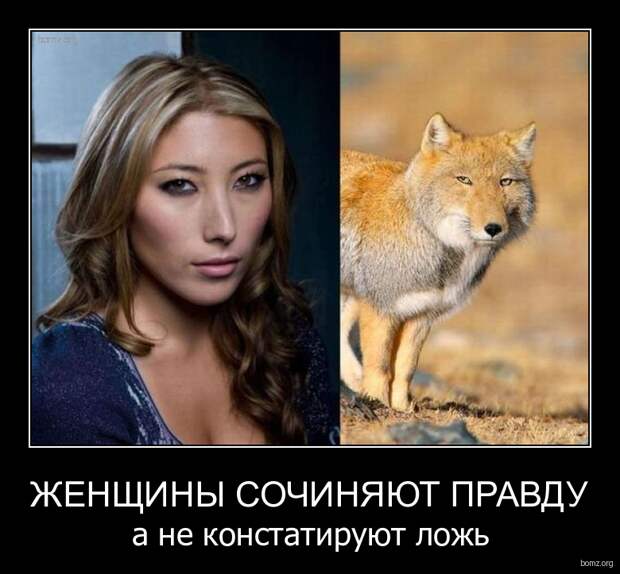 Похожее изображение