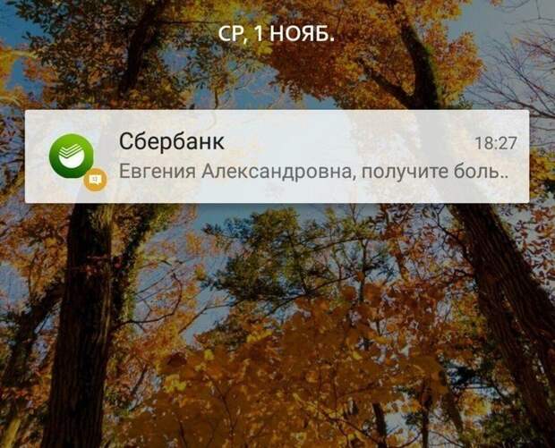 Сбербанк изнутри: о чем пишут его сотрудники в соцсетях Сбербанк изнутри: о чем пишут его сотрудники в соцсетях
