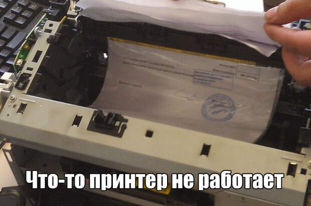 Смешные и веселые картинки с надписями со смыслом (11 фото)