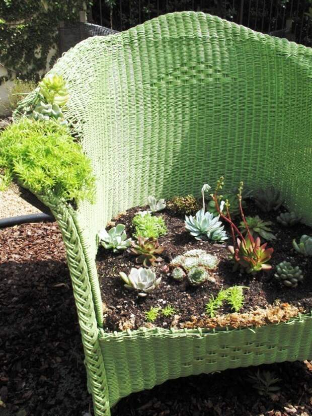 Оригинальные клумбы на даче – идеи создания