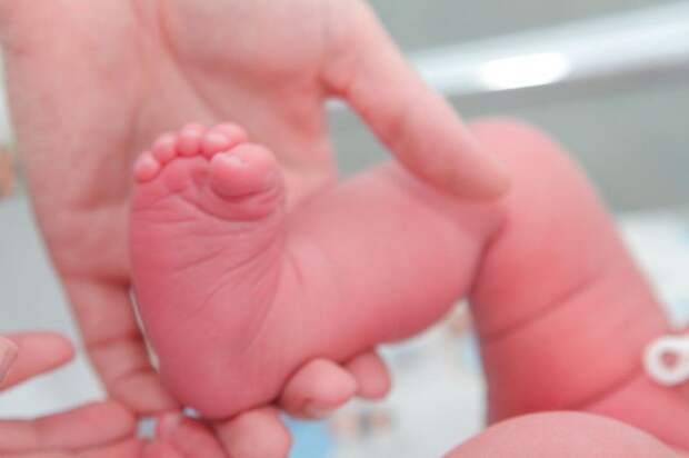 Бактерия-убийца! Названа причина гибели младенцев в Новокузнецке