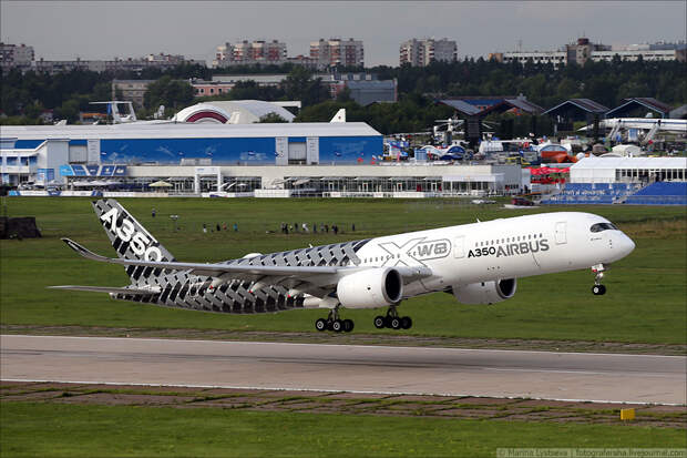 B79Q9951