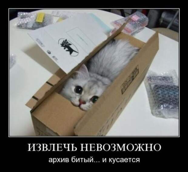 Демотиваторы (30 фото)