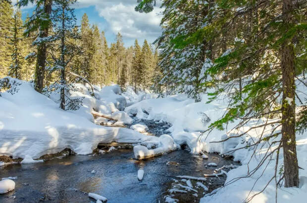 Запросить "купол": что поможет найти Усольцевых