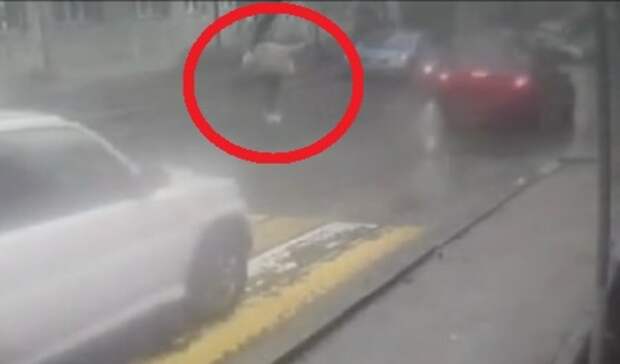 «Кидалась под машины»: приступ безумия дебоширки попал на видео в Приморье