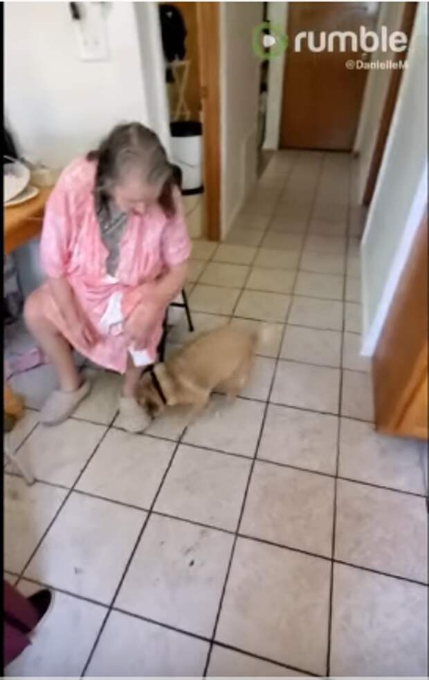 Пес встретил бабушку после больницы и его реакция растопит сердце любого