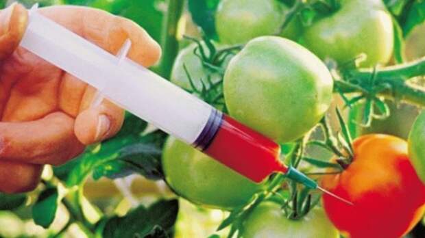 ГМО-монстр с помощью ФАС готовит захват рынка России