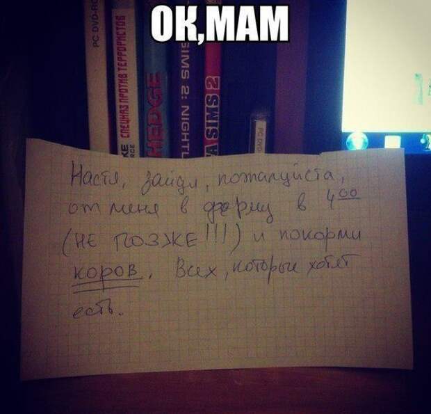 Прикольные картинки Прикольные картинки