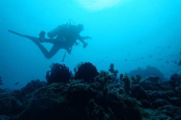 На месте кораблекрушения 2000-летней давности нашли идеально сохранившиеся сокровища