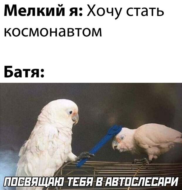 Я хочу стать космонавтом