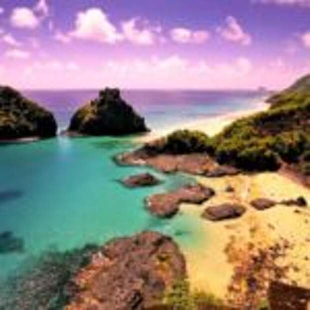 Международный форум