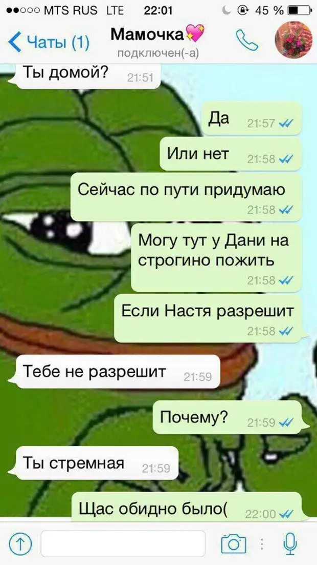 Смешные чаты. Приколы в чате. Прикольные чаты. Скриншот приколы.