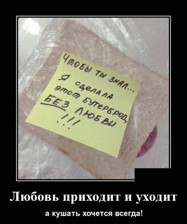 Демотиваторы (30 фото)
