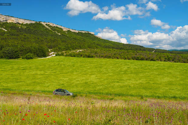 Весенние краски Крыма