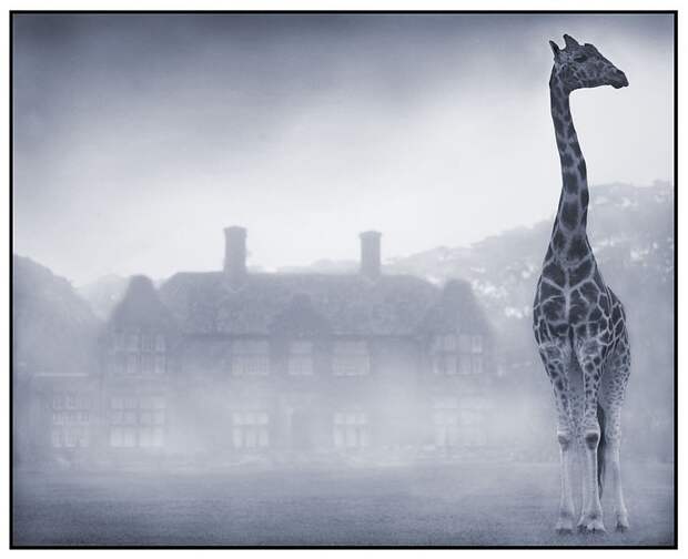 фотографии африки. Nick Brandt