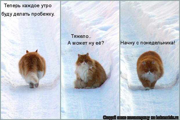 Теперь каждое утро  буду делать пробежку. А может ну её? Тяжело.. Начн