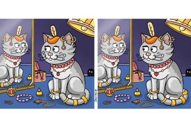 Кошки-модницы у зеркала: найдите 10 отличий за 55 секунд