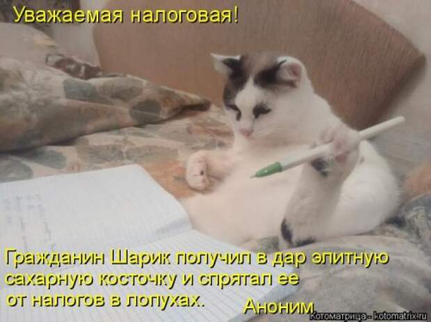 Новая котоматрица (39 фото)