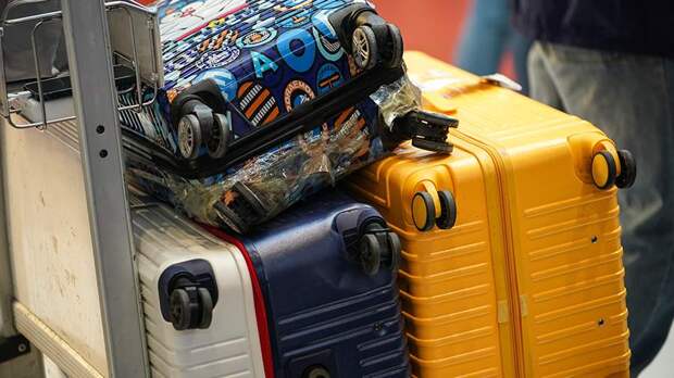 В аэропортах Домодедово и Жуковский снова ввели временные ограничения на работу