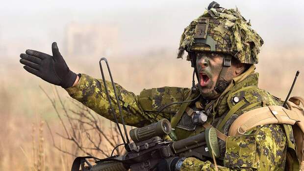 Семь учений за полгода: Украина окончательно превратилась в военный полигон НАТО