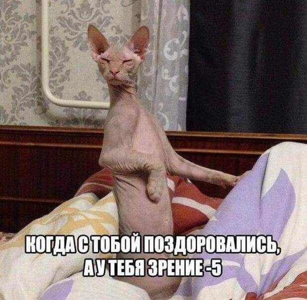 Свежие картинки с надписями понедельника (15 шт)