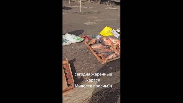 Рынок Мирный, Зелёный, Макеевка https://t.me/webmoney_dn/315670Video: Клип