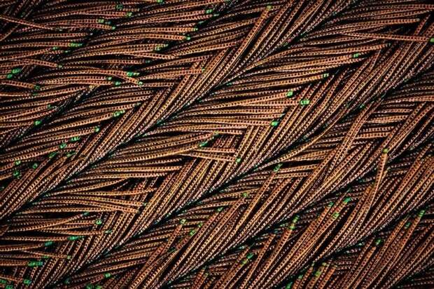 17 микрофотографий, которые покажут с новой стороны мир, что кроется у нас под носом